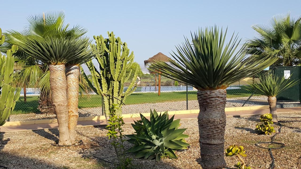 Apartments Sol De Almeria Golf Y Playa Retamar  Buitenkant foto